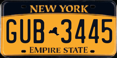 NY license plate GUB3445
