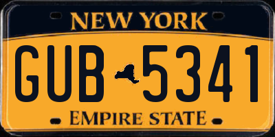 NY license plate GUB5341