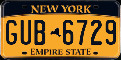 NY license plate GUB6729