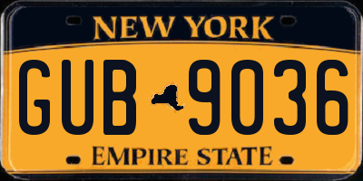 NY license plate GUB9036