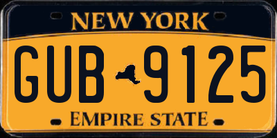 NY license plate GUB9125