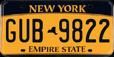 NY license plate GUB9822