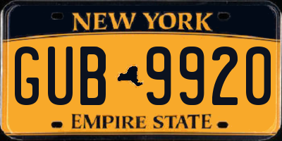 NY license plate GUB9920