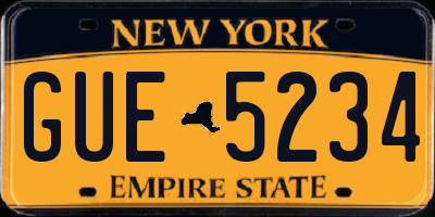NY license plate GUE5234