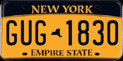 NY license plate GUG1830