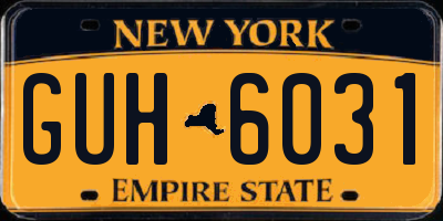 NY license plate GUH6031