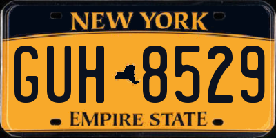 NY license plate GUH8529