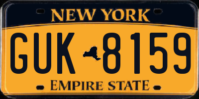 NY license plate GUK8159