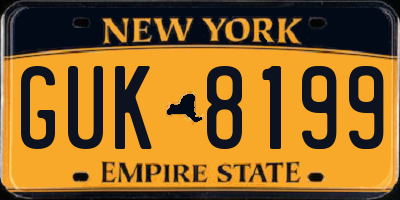 NY license plate GUK8199