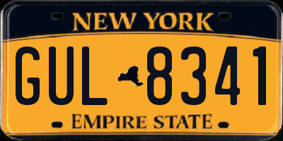 NY license plate GUL8341