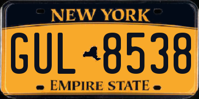 NY license plate GUL8538
