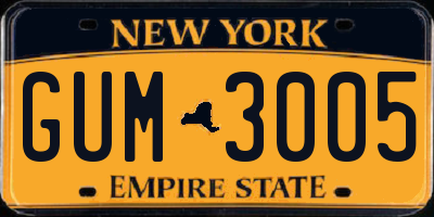 NY license plate GUM3005