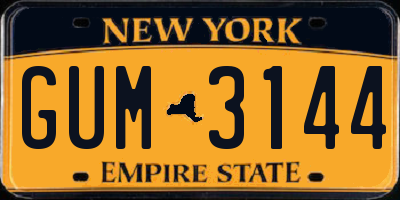 NY license plate GUM3144
