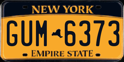 NY license plate GUM6373