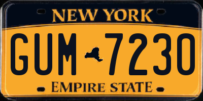 NY license plate GUM7230