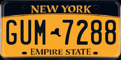 NY license plate GUM7288