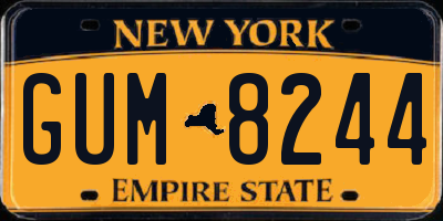 NY license plate GUM8244