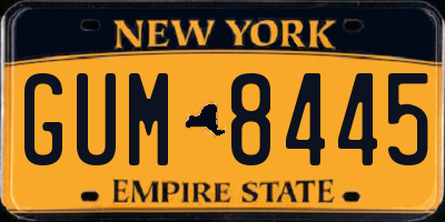 NY license plate GUM8445