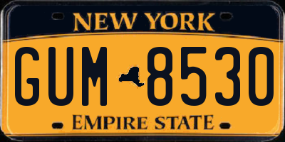 NY license plate GUM8530