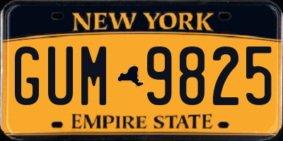 NY license plate GUM9825