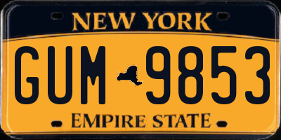 NY license plate GUM9853