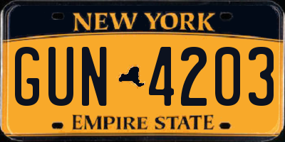 NY license plate GUN4203
