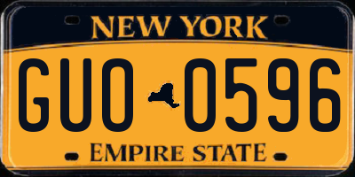 NY license plate GUO0596