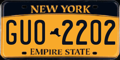 NY license plate GUO2202