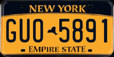 NY license plate GUO5891