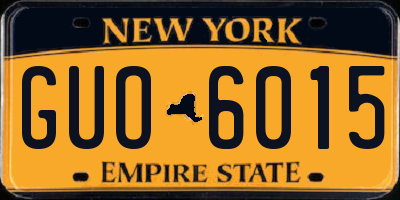 NY license plate GUO6015