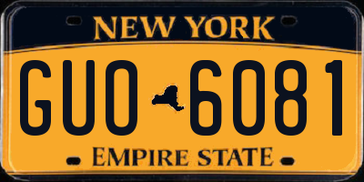 NY license plate GUO6081