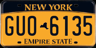 NY license plate GUO6135