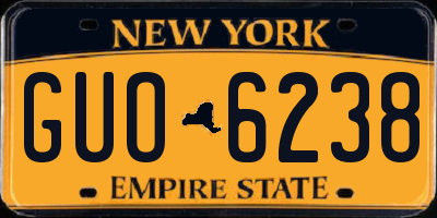 NY license plate GUO6238
