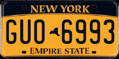 NY license plate GUO6993