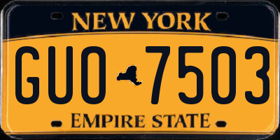 NY license plate GUO7503