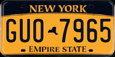 NY license plate GUO7965