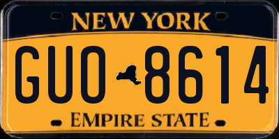 NY license plate GUO8614