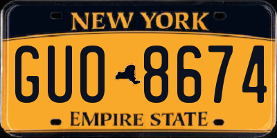NY license plate GUO8674