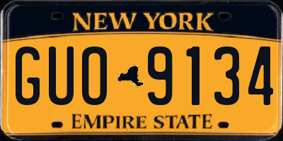 NY license plate GUO9134