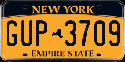 NY license plate GUP3709