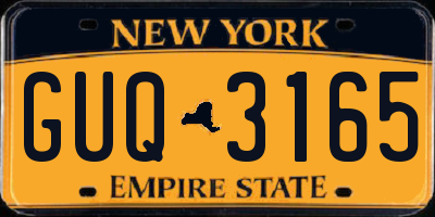 NY license plate GUQ3165