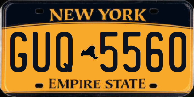 NY license plate GUQ5560