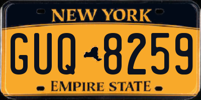 NY license plate GUQ8259