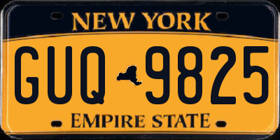 NY license plate GUQ9825