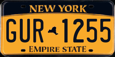 NY license plate GUR1255