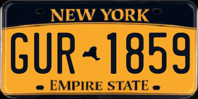 NY license plate GUR1859
