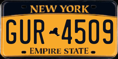 NY license plate GUR4509