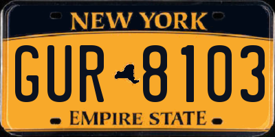 NY license plate GUR8103