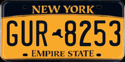 NY license plate GUR8253