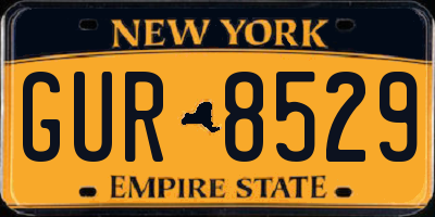 NY license plate GUR8529